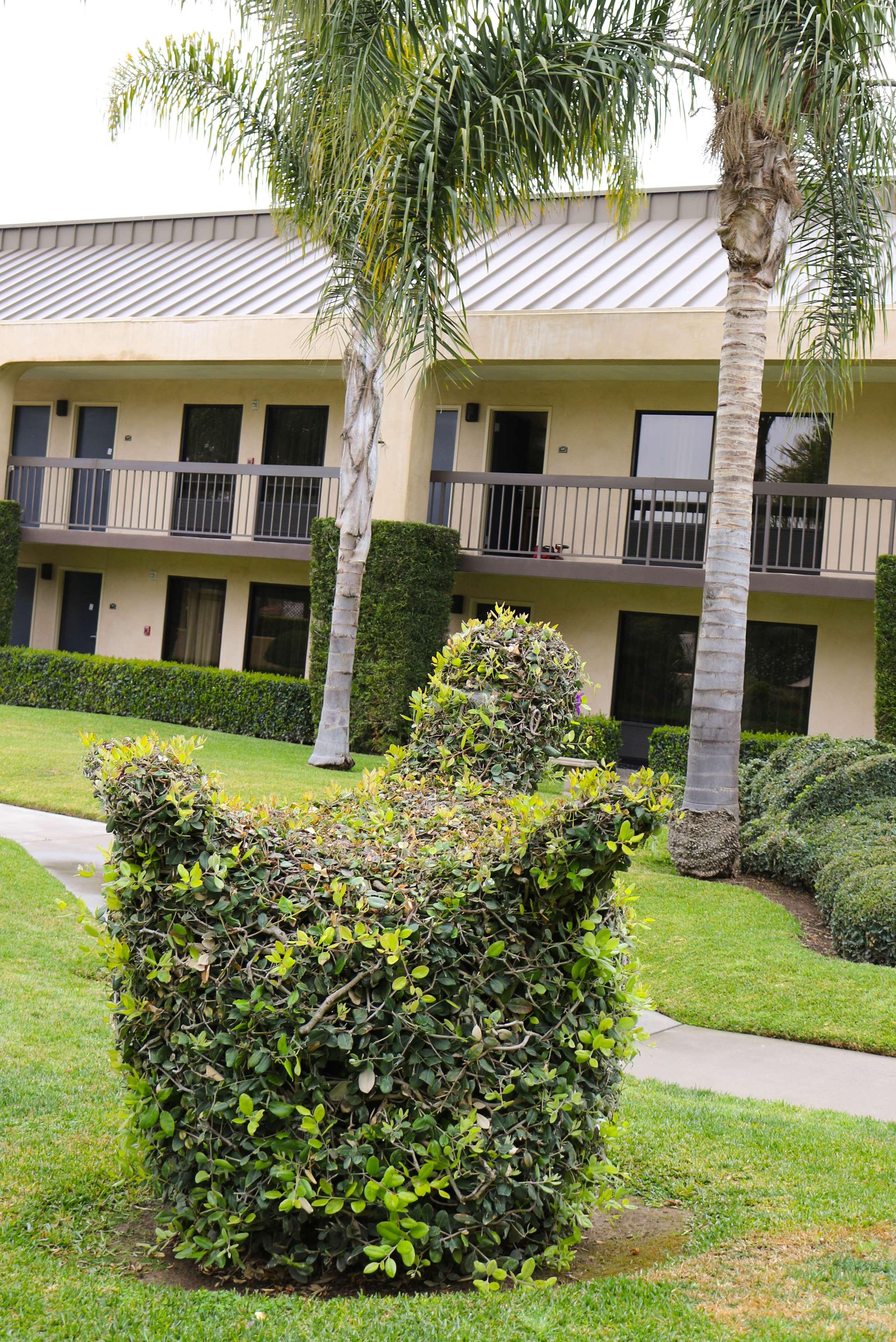 Best Western Plus South Coast Inn Goleta Ngoại thất bức ảnh